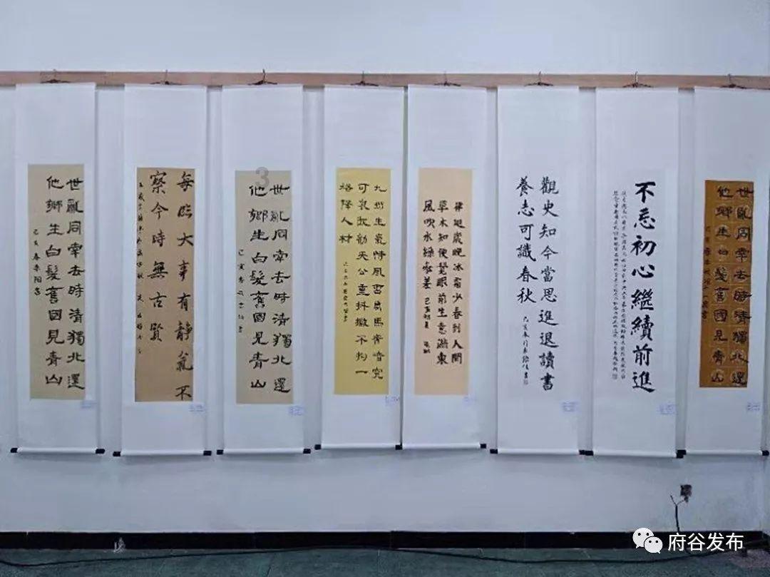 【专业问答】月季黄叶怎么办?-58问答平台